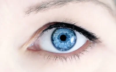 Keep you eyes wide open when entering into any financial agreement for help
