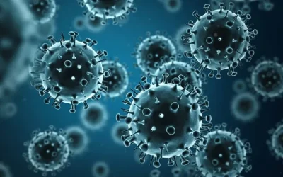 If you’re self-employed or a member of a partnership and have been adversely affected by coronavirus (COVID-19) find out if you can use this scheme to claim a grant